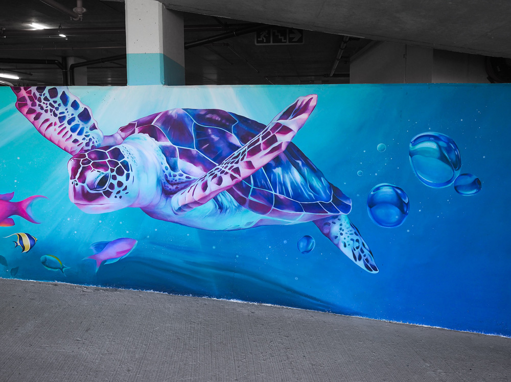 turtle mural