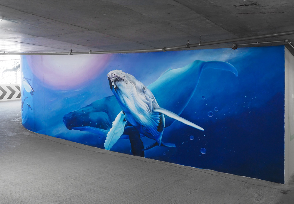 Humpback whale mural art